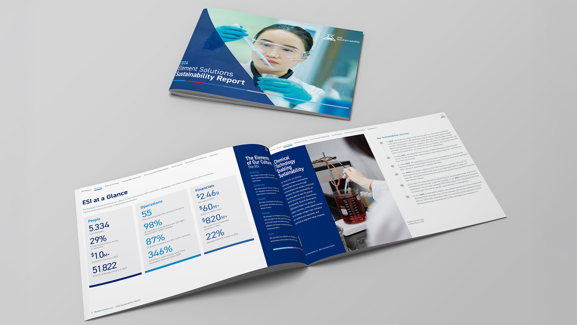 Element Solutions Sustainability Report 